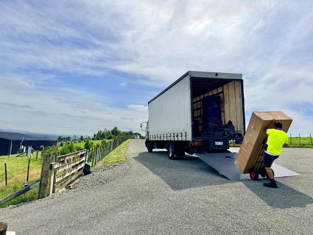 The Furniture Movers — photo 5